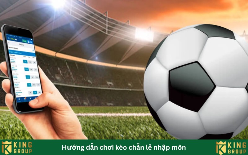 Hướng dẫn chơi kèo chẵn lẻ nhập môn